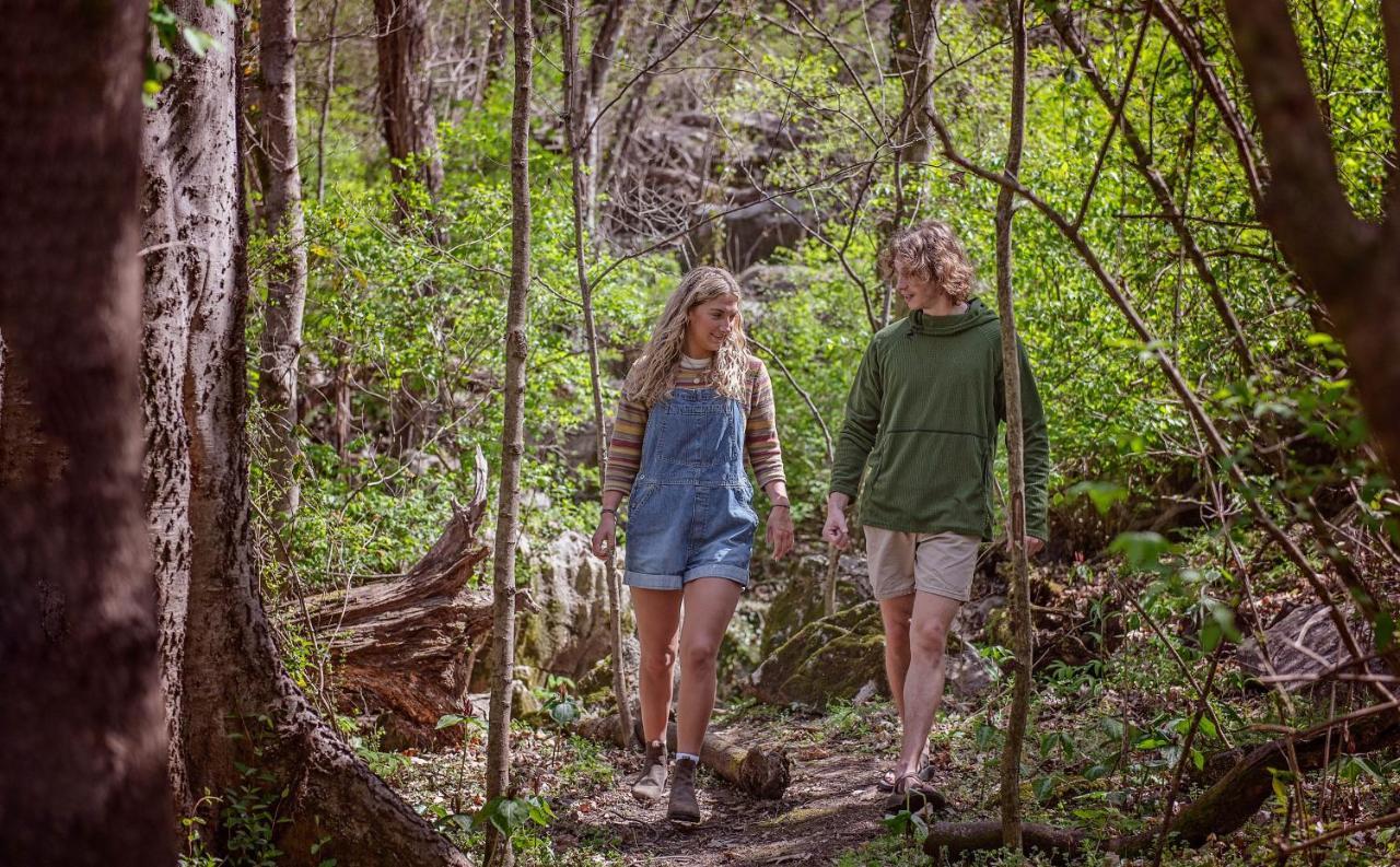 Elise Cabin Forest Retreat 5 Mins To Downtown Chattanooga Bagian luar foto