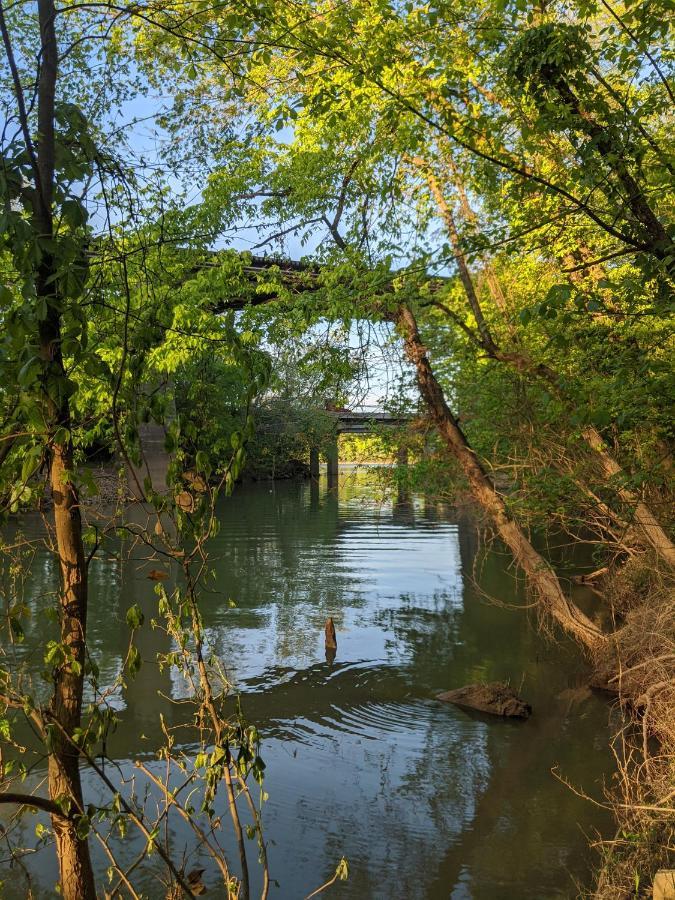 Elise Cabin Forest Retreat 5 Mins To Downtown Chattanooga Bagian luar foto